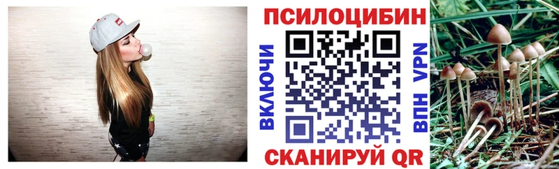 Псилоцибиновые грибы Magic Shrooms  Кировград 
